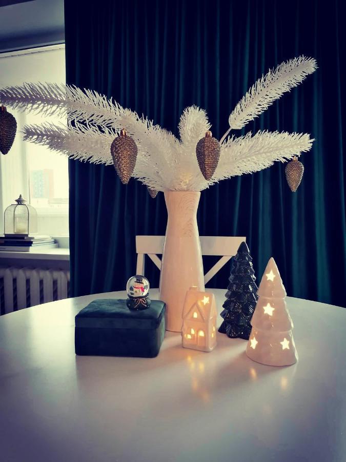 Cosy Center Apartment クライペダ エクステリア 写真