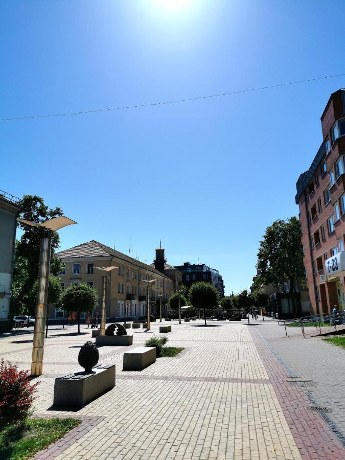 Cosy Center Apartment クライペダ エクステリア 写真